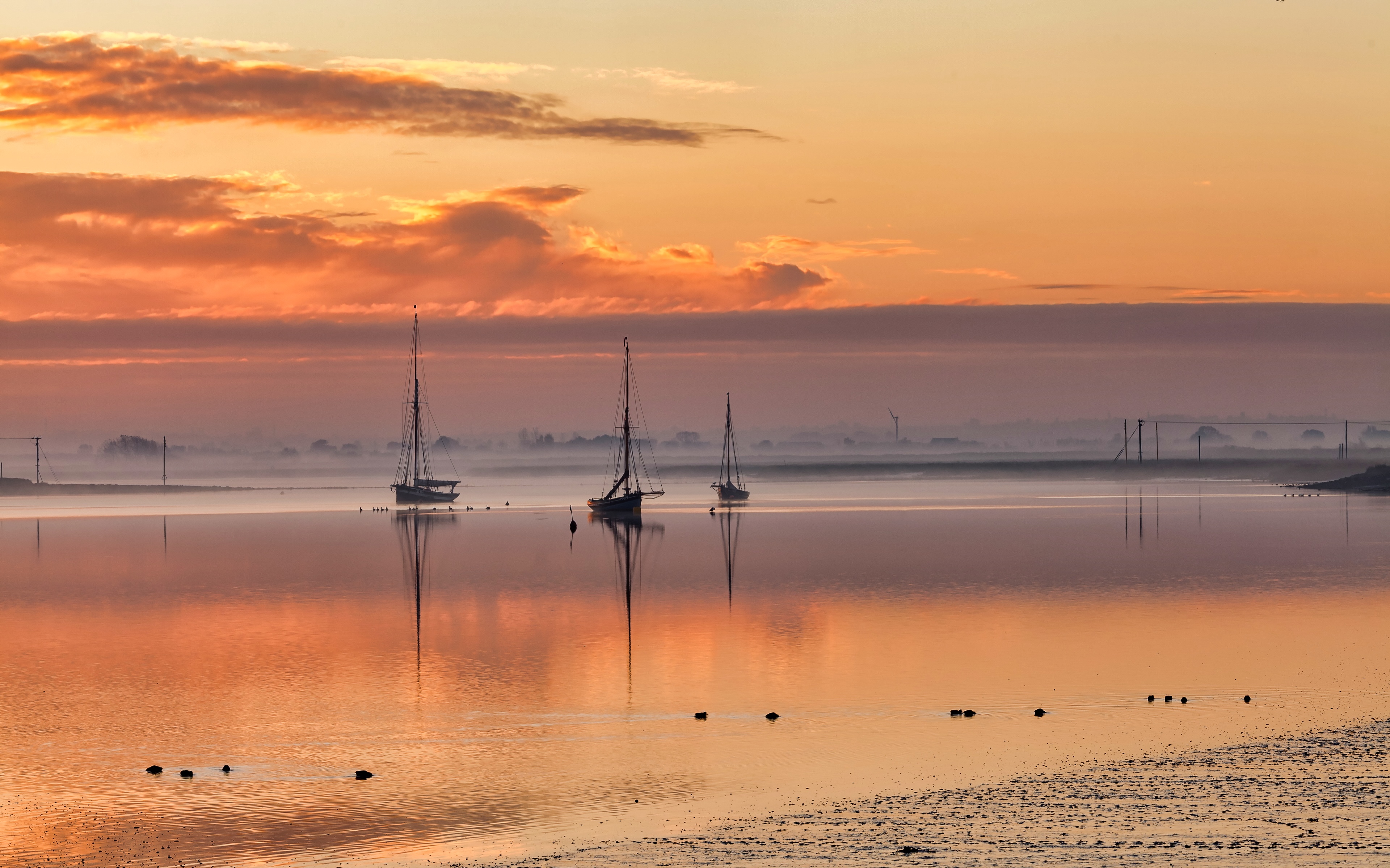人工智能极致4k7张4k壁纸继续放送