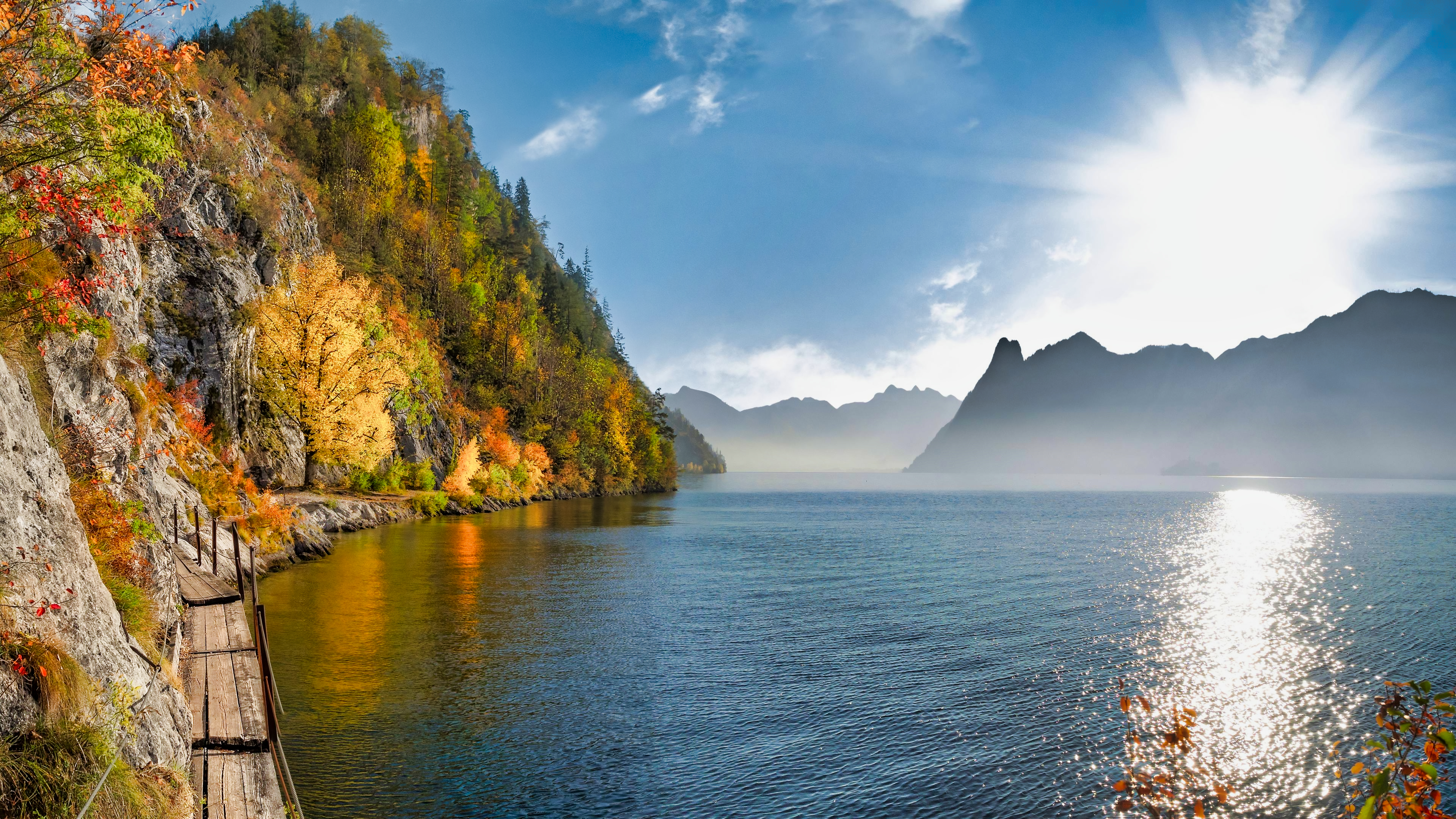 人工智能极致4k秋天森林风景4k壁纸大放送