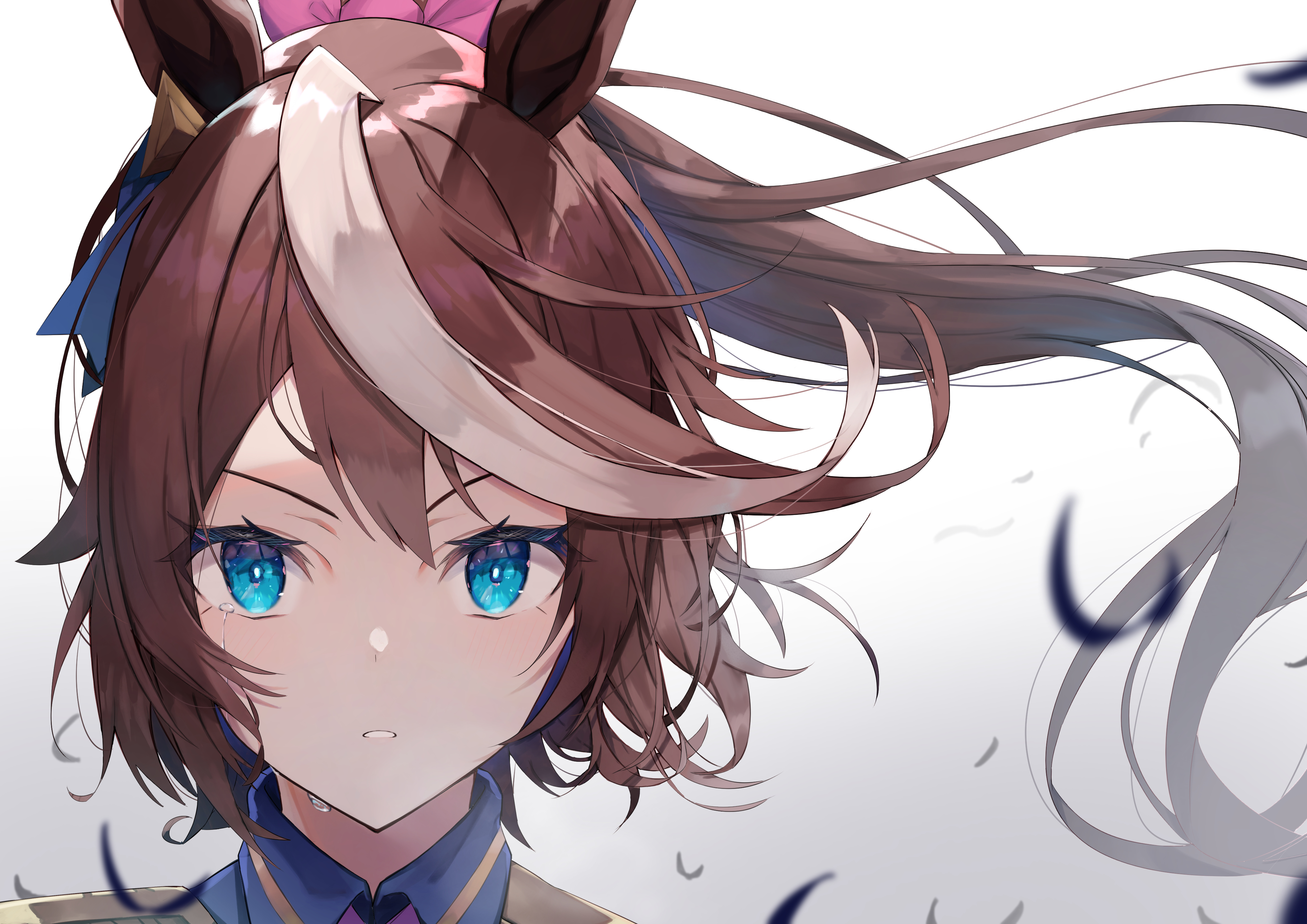 东海帝皇赛马娘图片第二弹