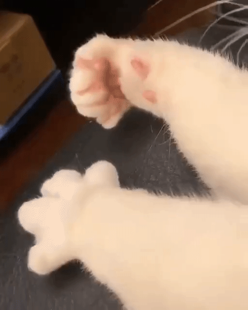 摸鱼图你是想投效我dio吧391