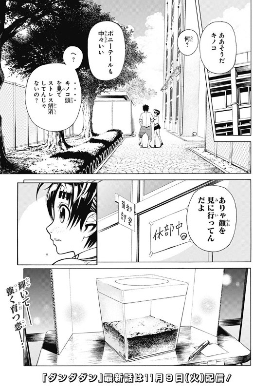 【龍幸伸読み切り】 恋愛栽培法 林士平（りんしへい） on X: 