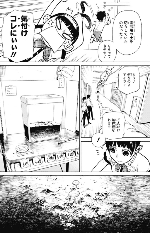 【龍幸伸読み切り】 恋愛栽培法 林士平（りんしへい） on X: 