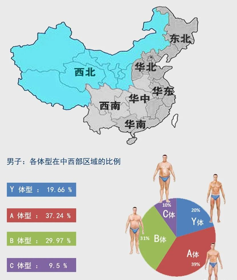 胸腰差体型分类表图片