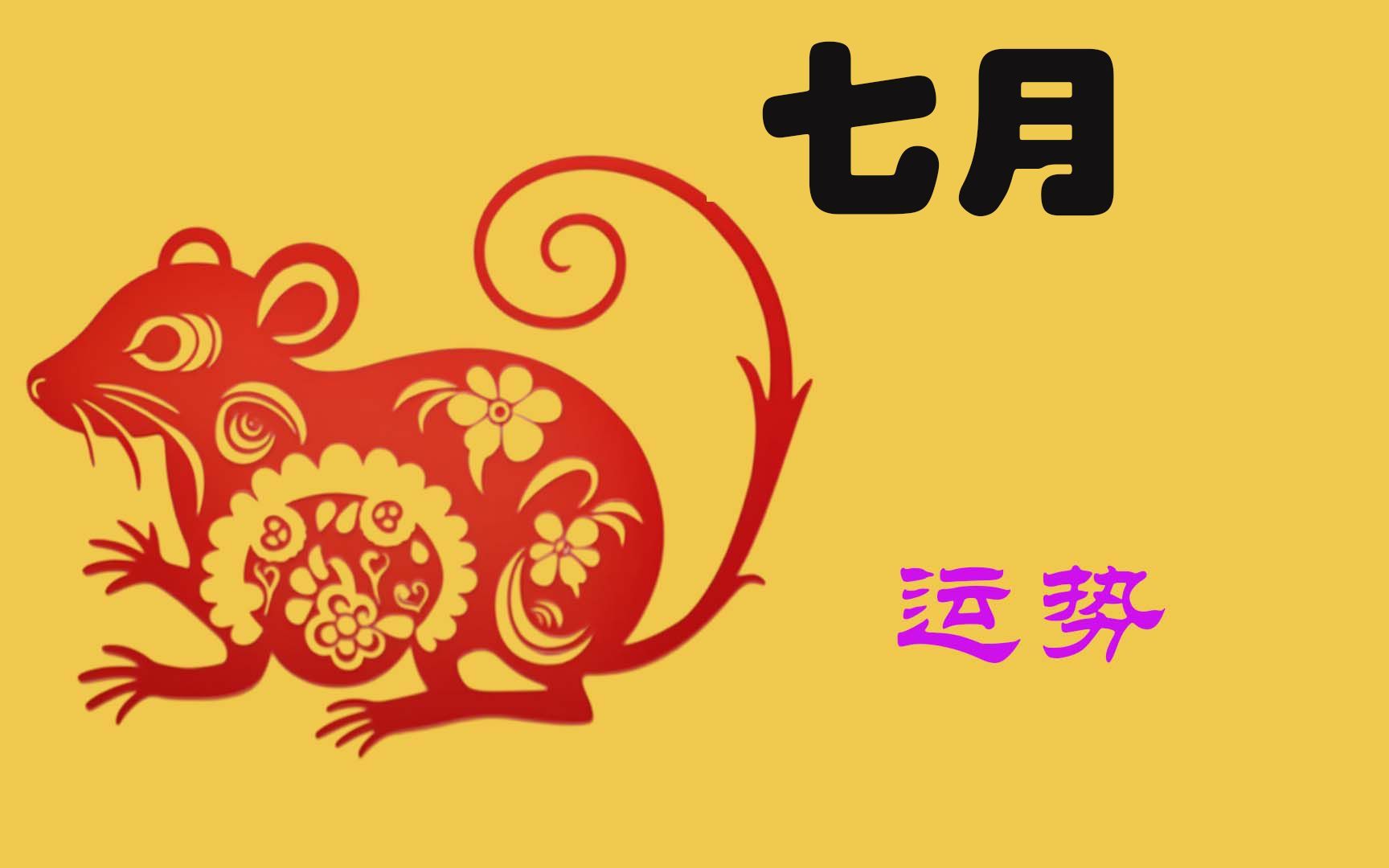 生肖属鼠女2025年运势(属鼠人2025年的命运)