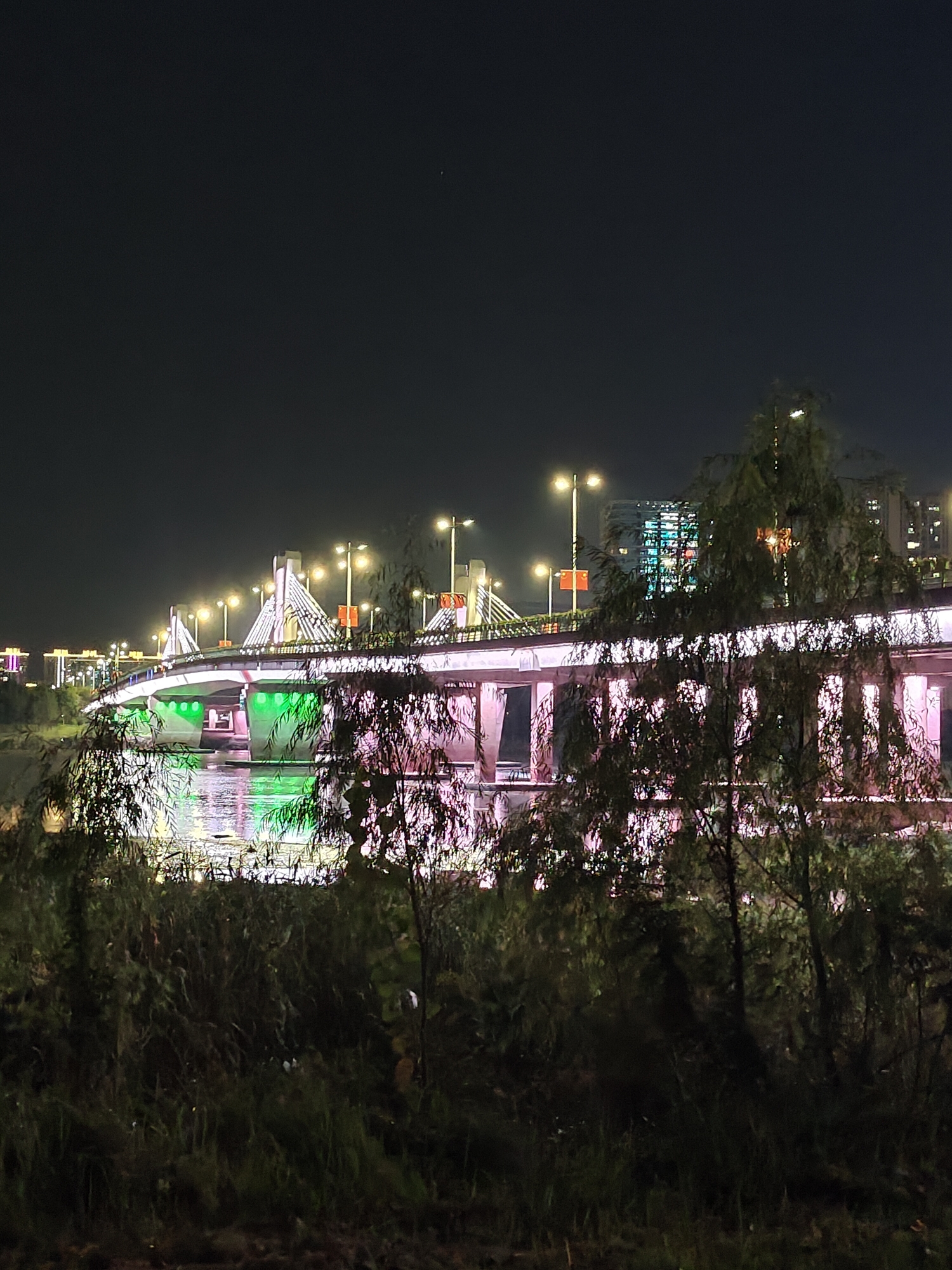 小城夜游记——江滨公园