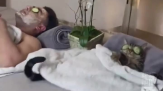 哈哈哈哈哈,千万不要把猫咪交给男朋友,否则......你将失去你的猫咪和你的男朋友