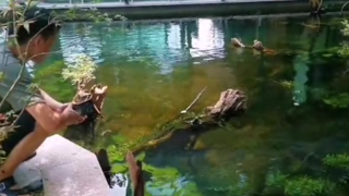 好家伙,这都可以进去潜水了吧……