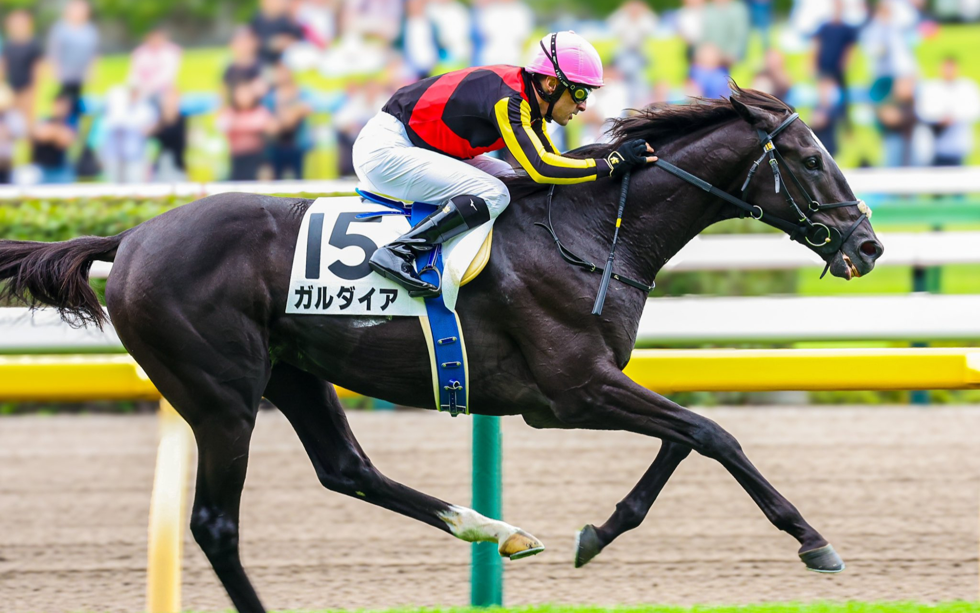 10.06 东京5r ガルダイア