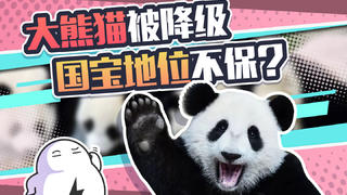 国宝大熊猫被“降级”,以后我们能人手一只吗?
