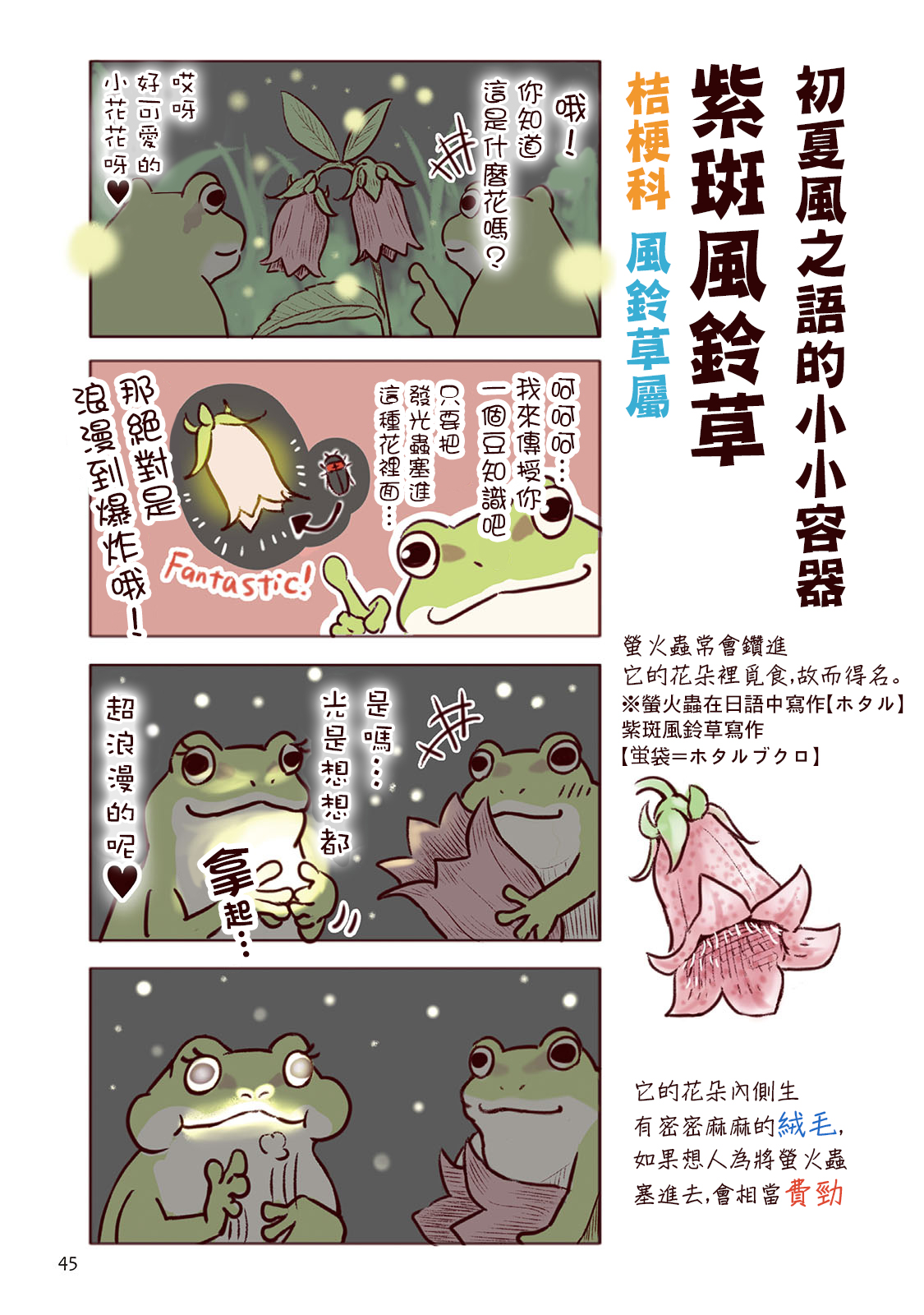 顽石幻化组 野生动物竟在我身边 第二卷夏