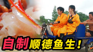 广东特色,抓鱼生吃!