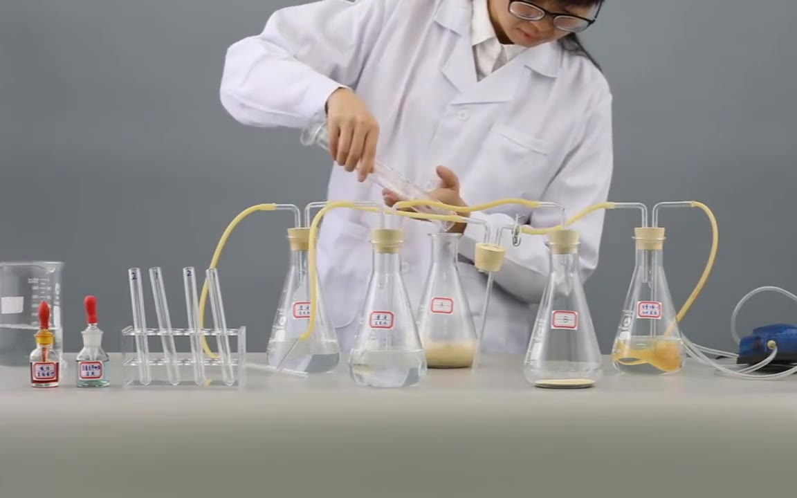 高中生物实验(2019版)——(十一)探究酵母菌细胞呼吸的方式