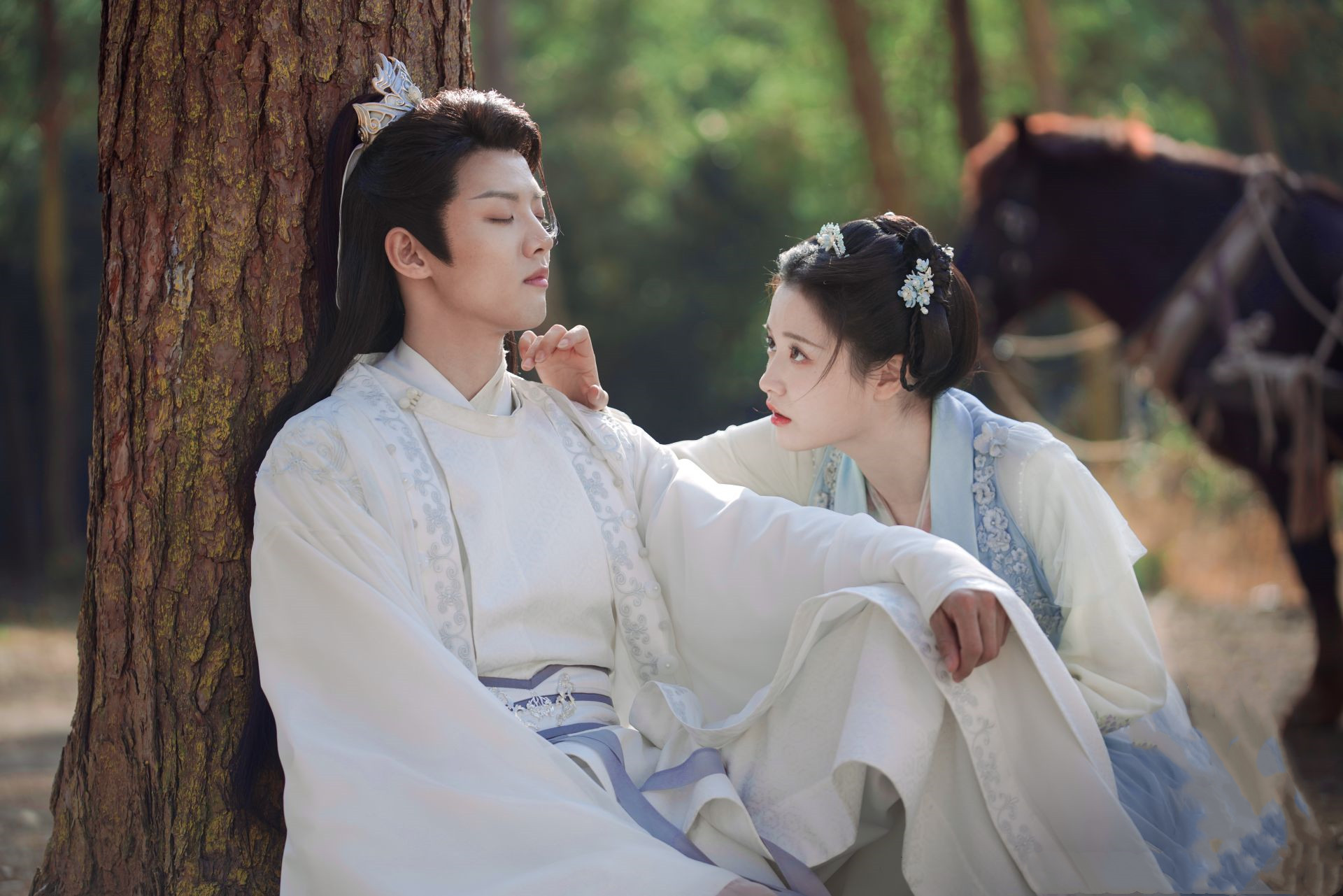《孔雀圣使请动心》:又是爽文女主的设定,男女主角互动甜中带虐