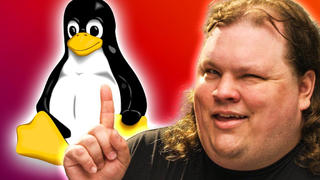 【官方双语】装什么Win 11 来装Linux啦#linus谈科技