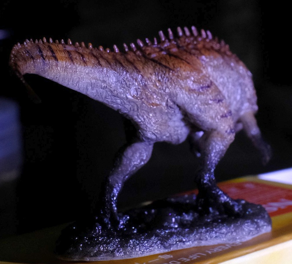 【开箱】pnso恐龙大王-永川龙大勇(21号)