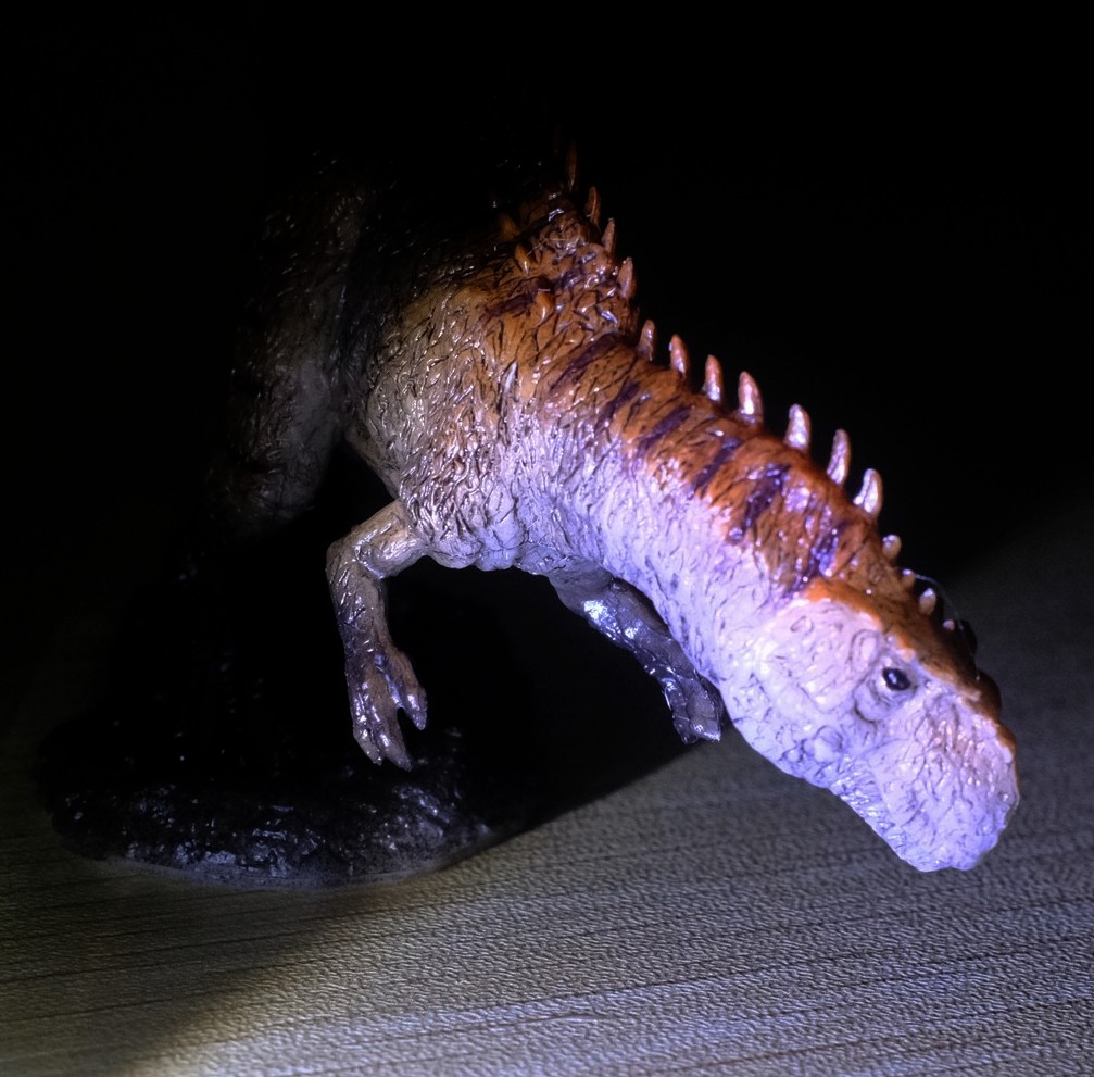 开箱pnso恐龙大王永川龙大勇21号