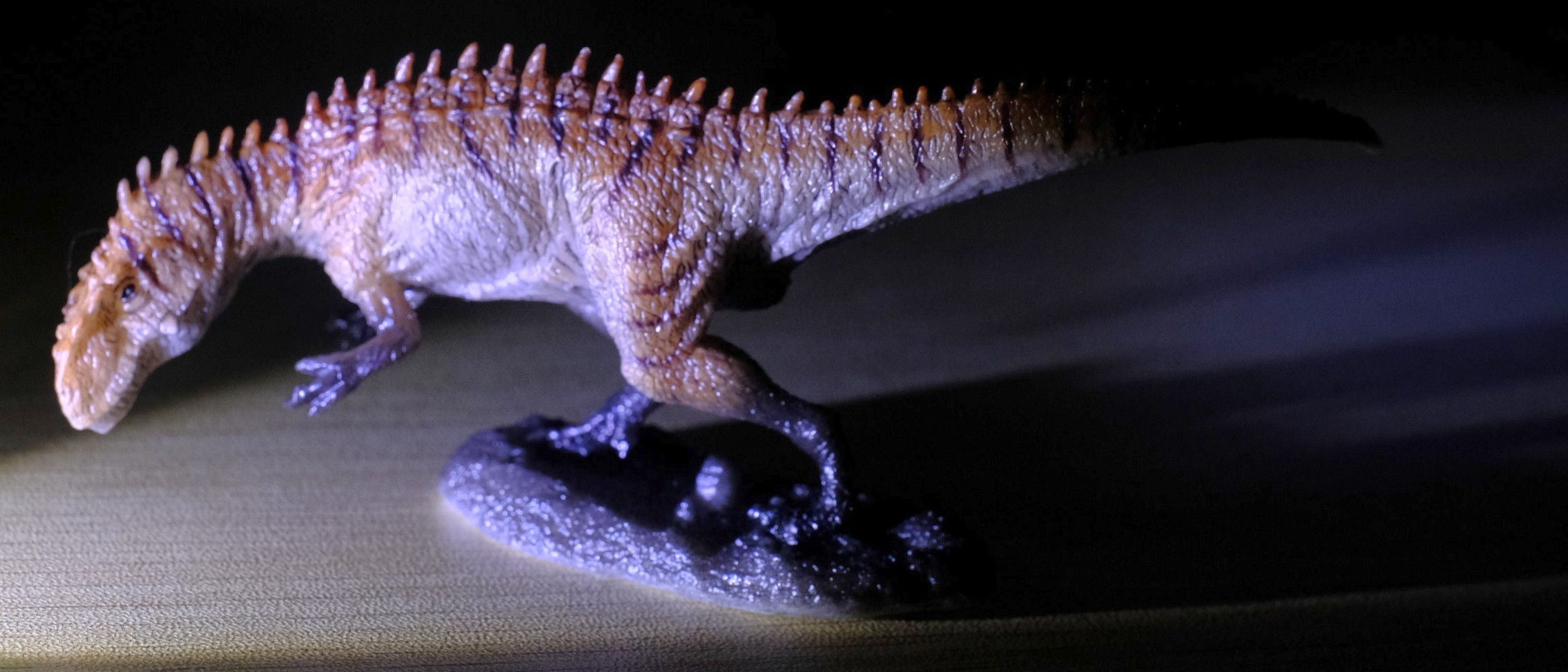 开箱pnso恐龙大王永川龙大勇21号