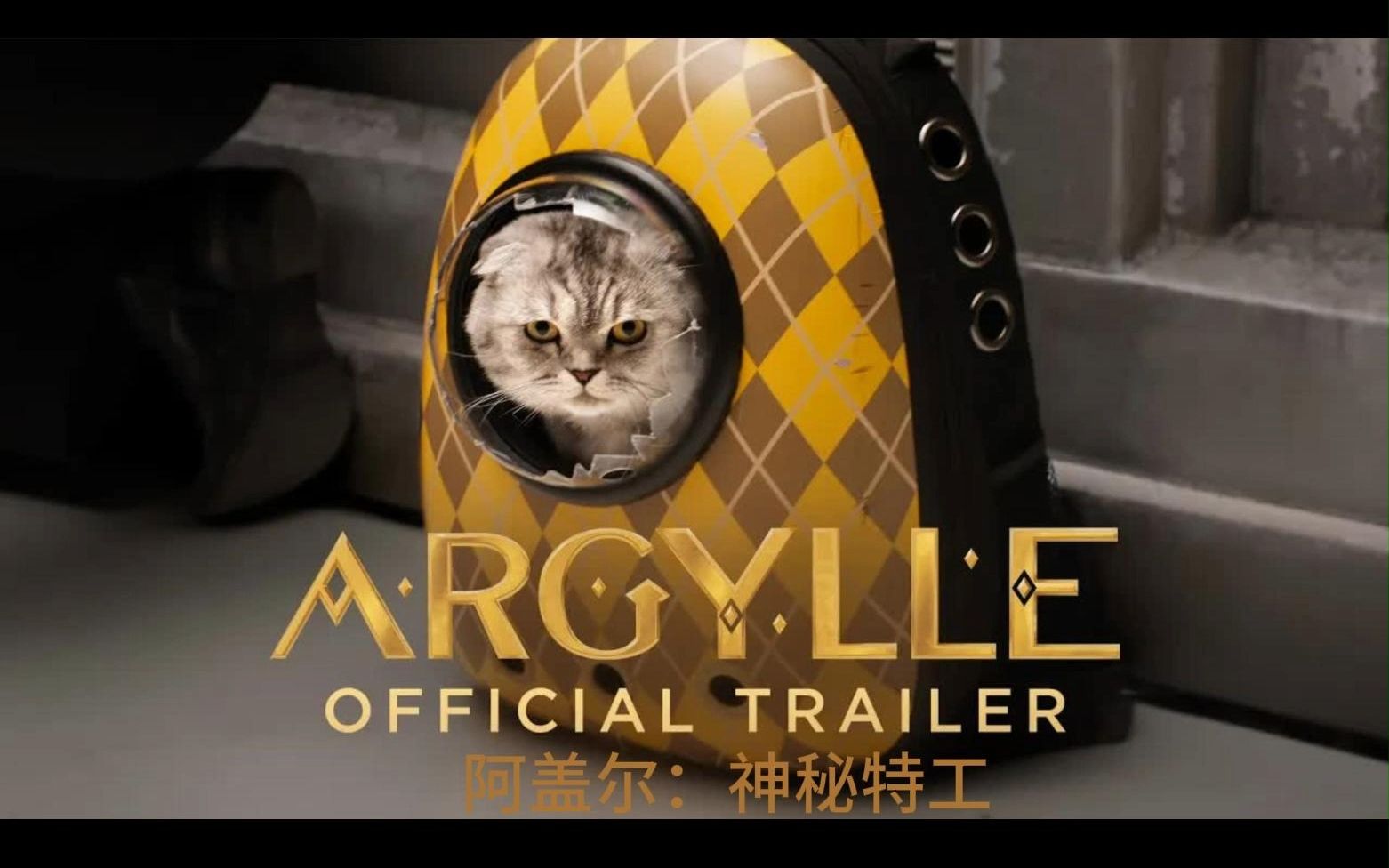 【观影2024】《阿盖尔-神秘特工》简评 - acfun弹幕视频网 - 认真你就