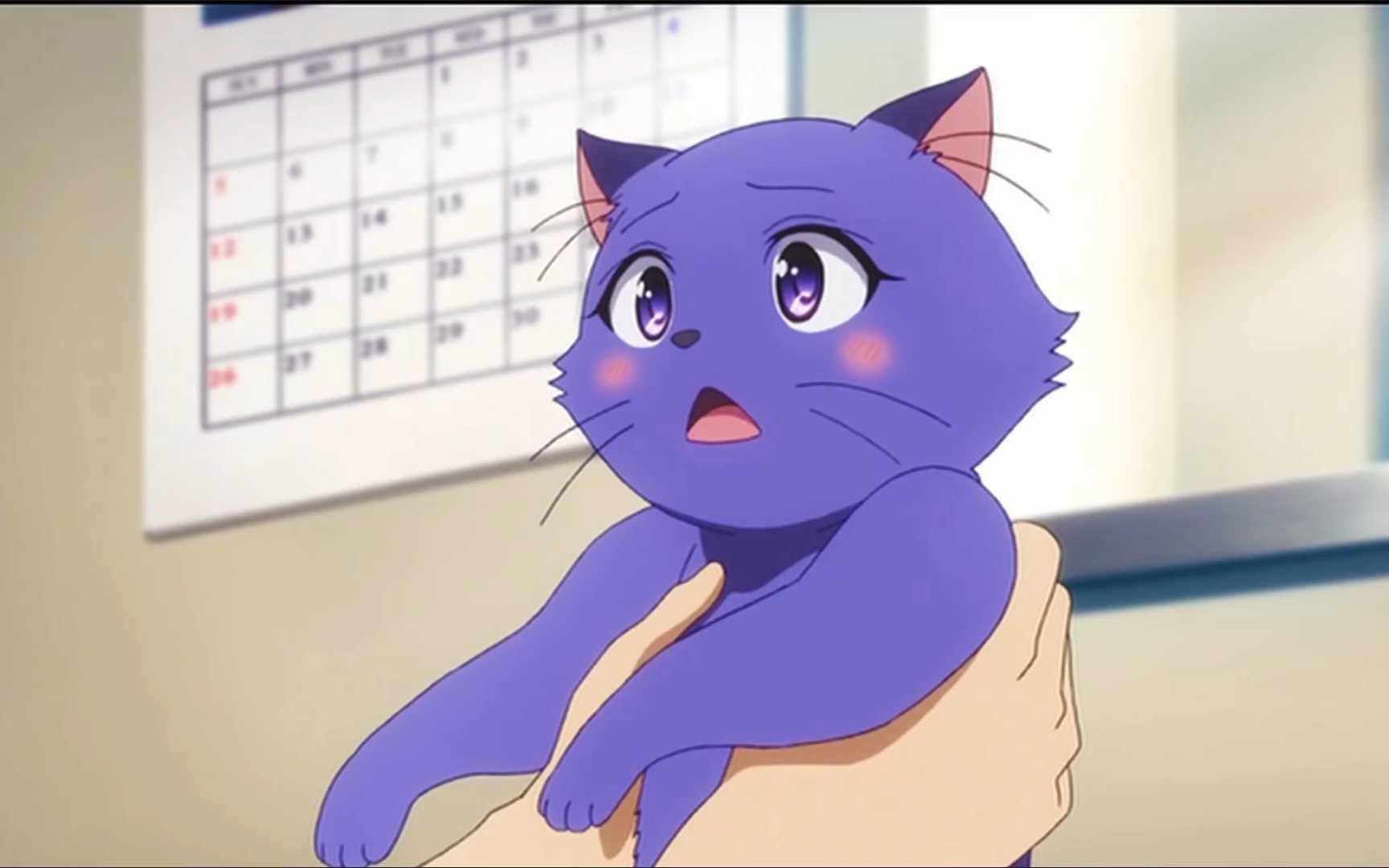 变成猫的女孩子