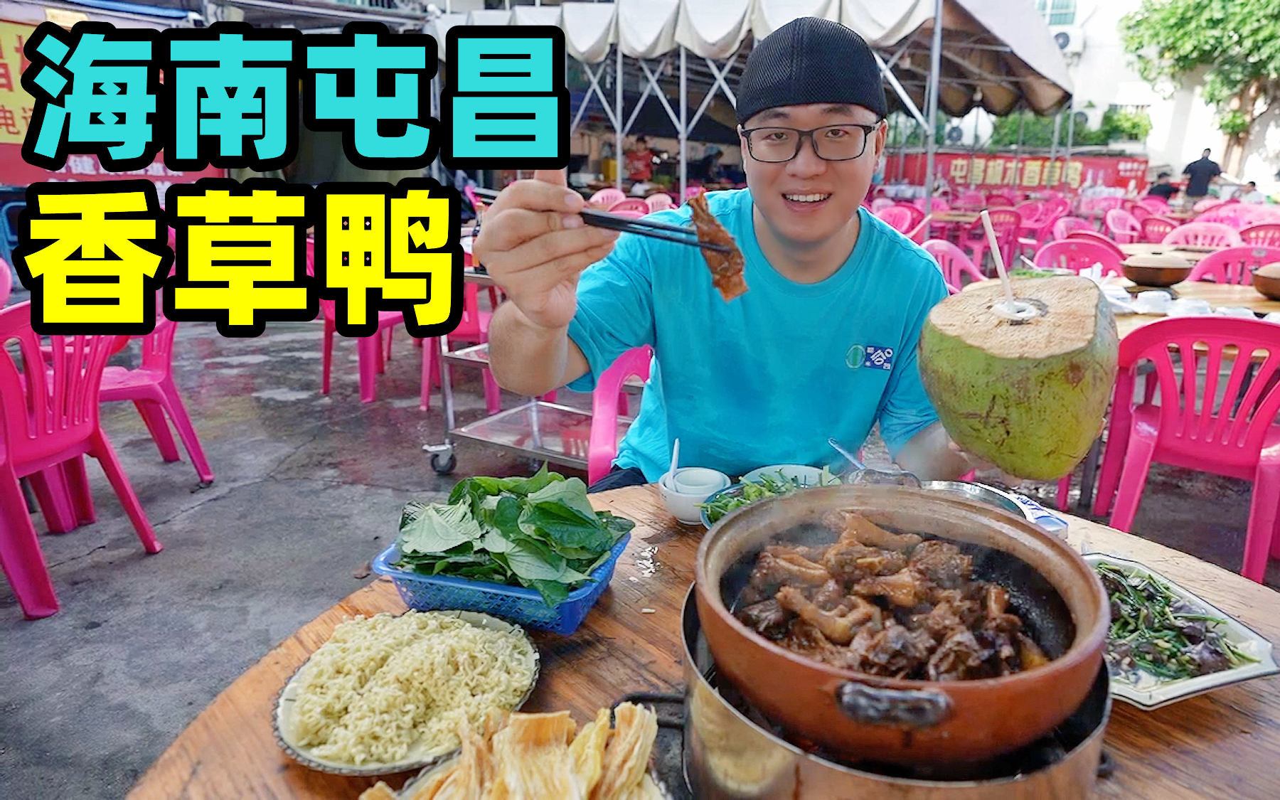 海南屯昌枫木香草鸭,砂锅煨制卤味,酱香吮指,阿星吃鸭汤拌面