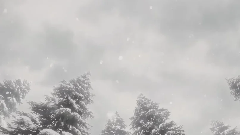 《滑头鬼之孙》作者新作动画化：《岩元前辈的推荐》定档PV首发