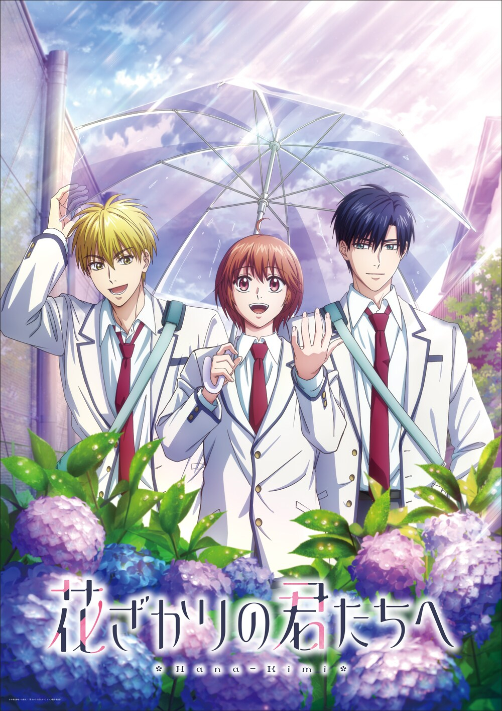 花样少男少女