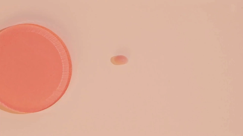 甜蜜来袭！《天竺鼠车车》原作者新作《Candy Carise》震撼首发，萌力全开引爆期待