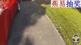 美利坚抓捕日常第二十九回-残暴男人枪杀前女友,淡定警察暴击嫌疑人