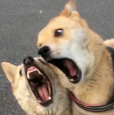 搞笑图片谁还没有点生活呢