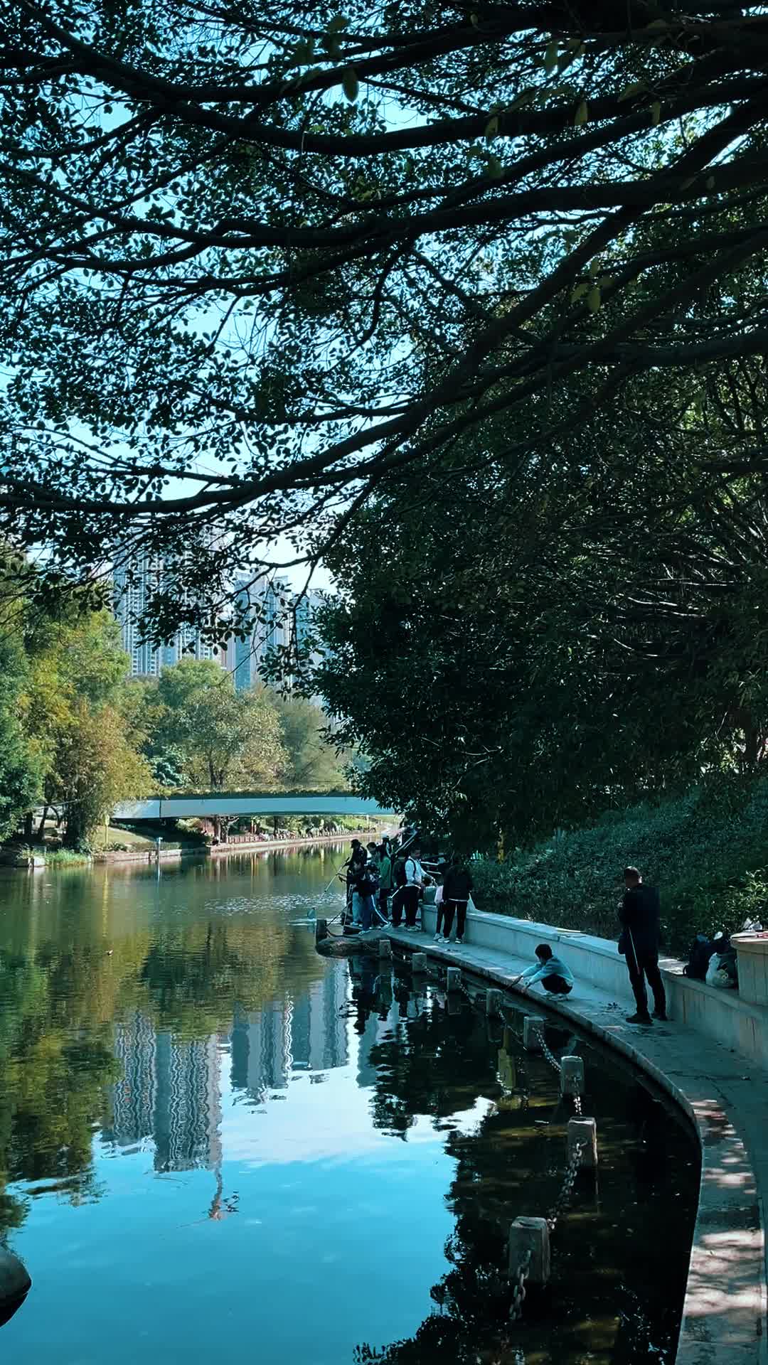 福田河钓鱼,笔架山公园钓鱼人!
