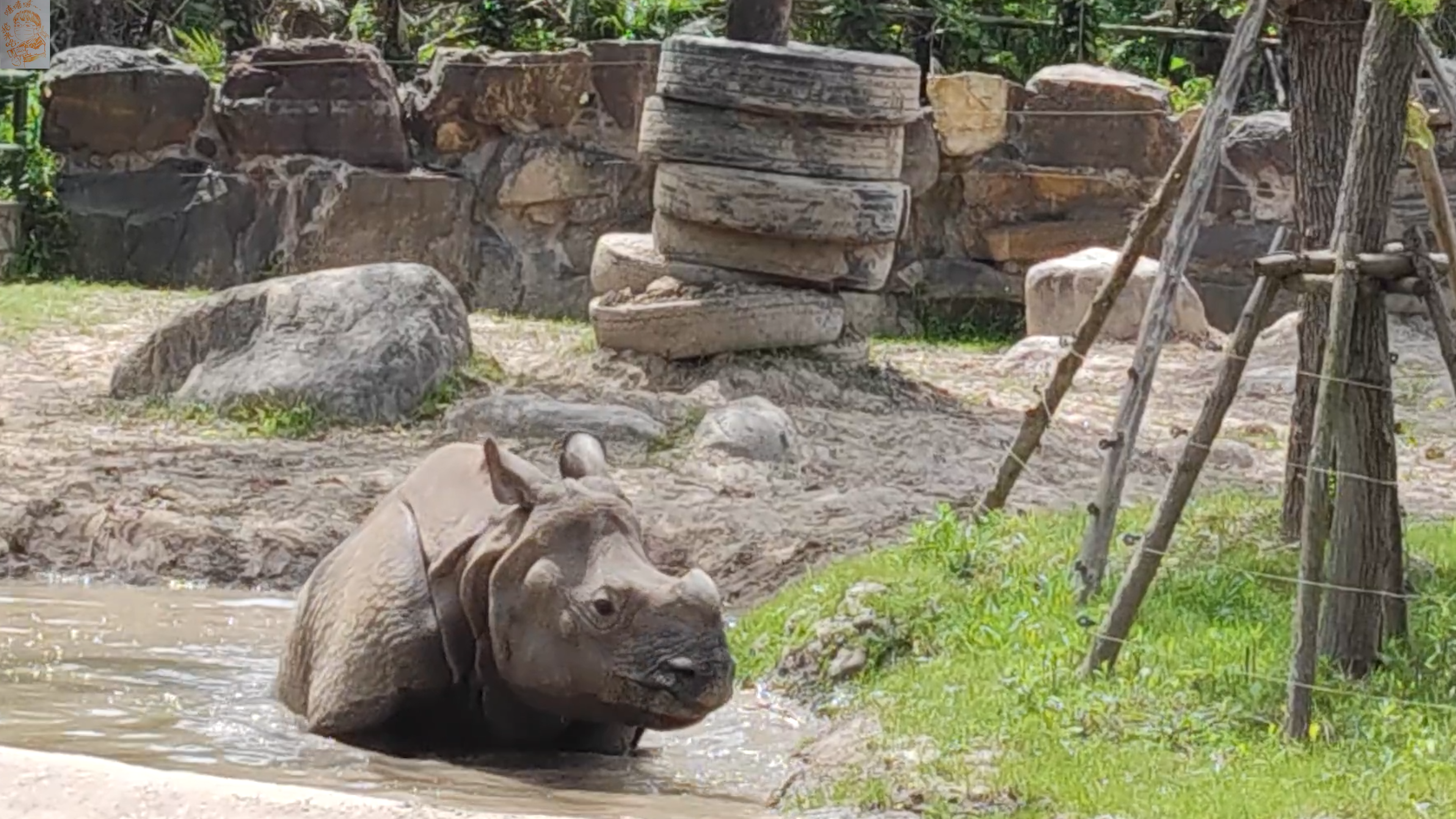 大独角犀(6岁):泡个澡 - acfun弹幕视频网 - 认真你就输啦 (?ω?)ノ- 