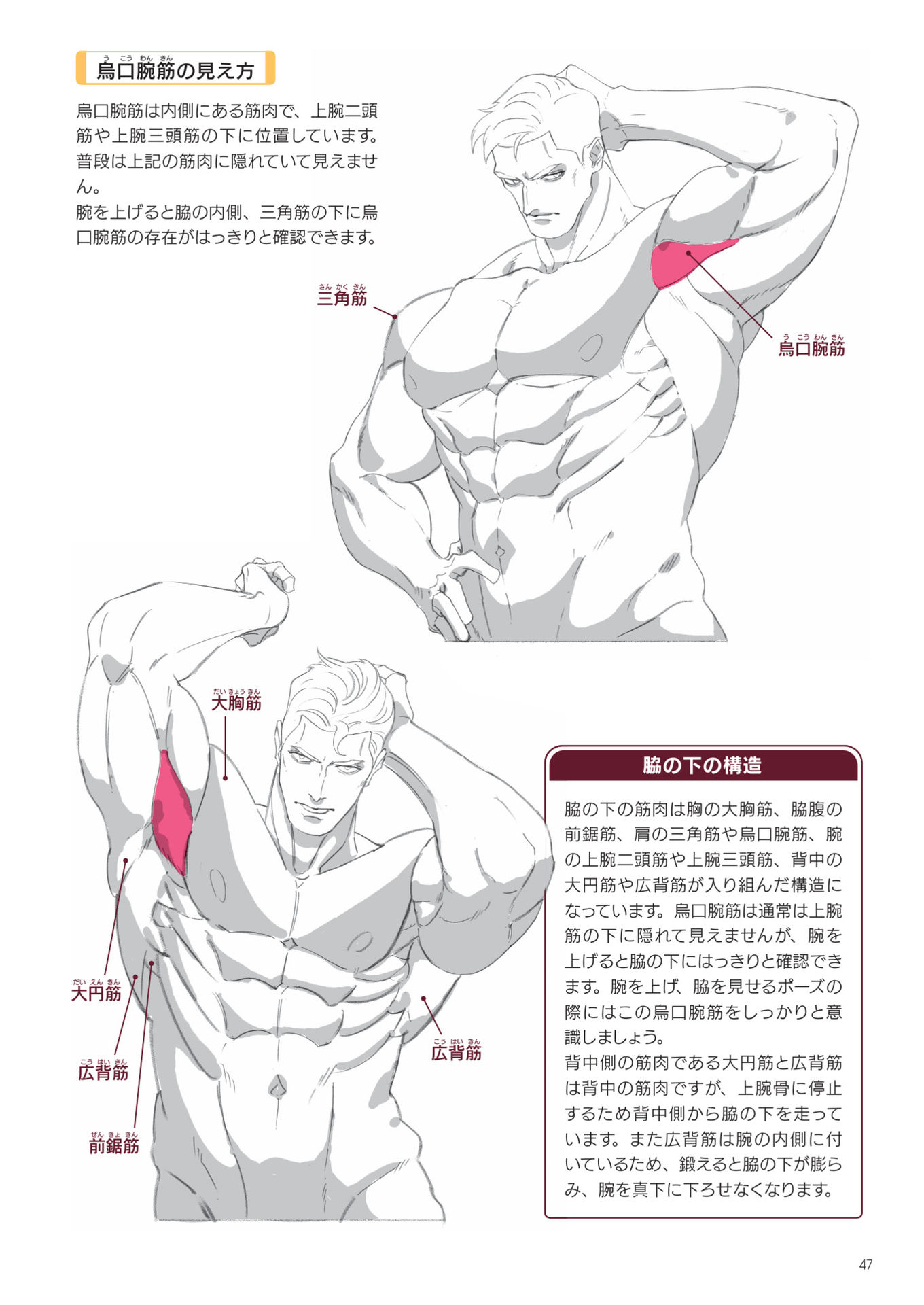 硬汉的绘画方法