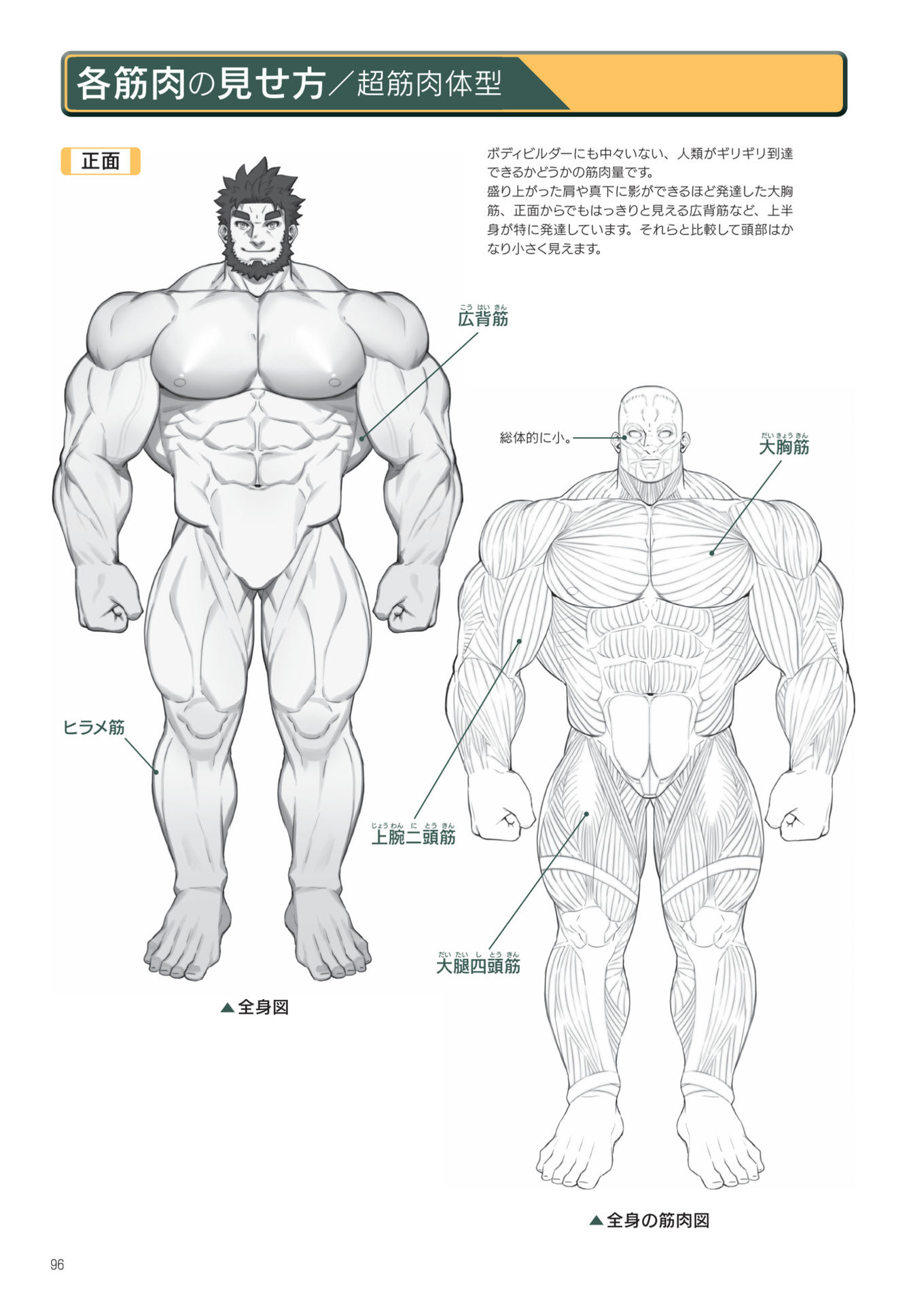 硬汉的绘画方法