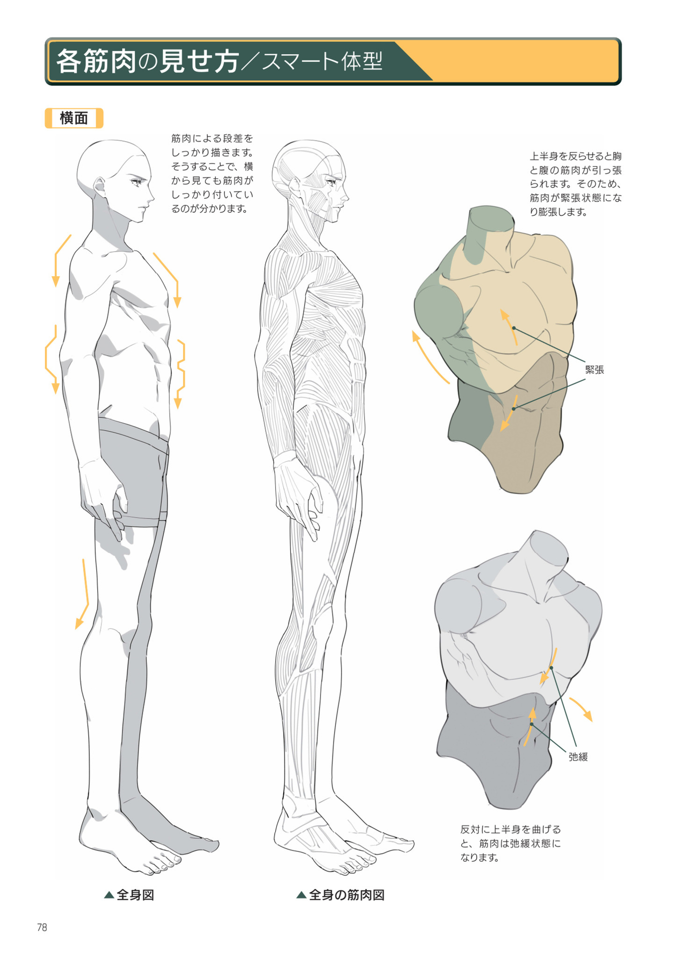 硬汉的绘画方法