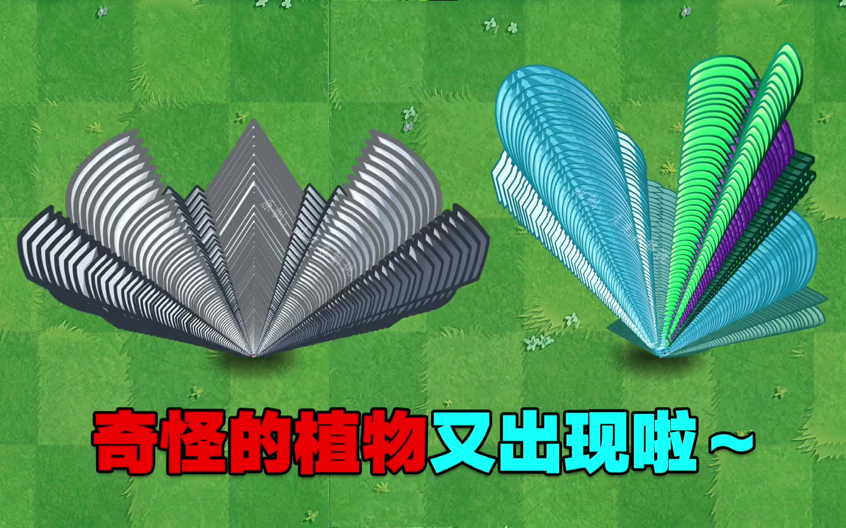 pvz2揭秘:奇怪的植物出现啦!这是传说中的"金刚钻"?