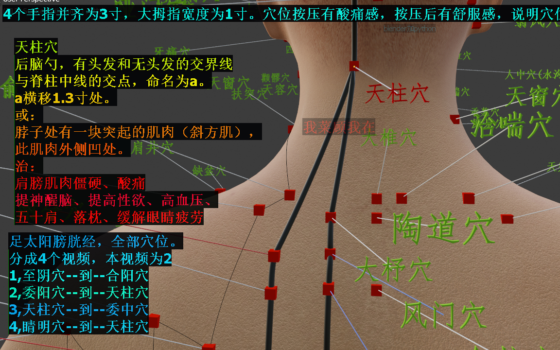 足太陽膀胱經2,全部穴位,中醫,將針灸改成按摩,廣泛使用