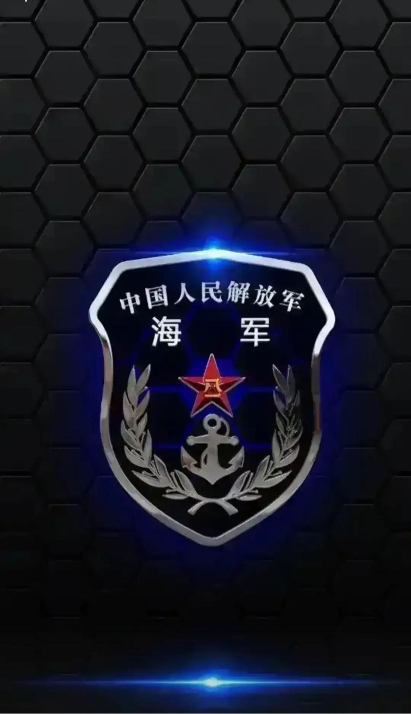 我们的各种军章徽记徽章9壁纸