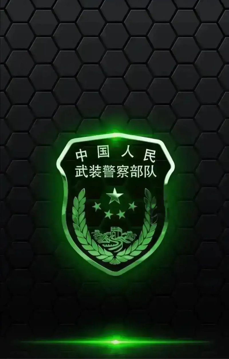 我们的各种军章徽记徽章9壁纸