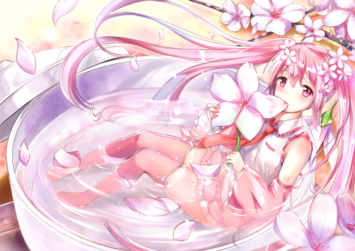 桜 ミク / sakura miku(樱 初音未来)vocaloid 虚拟歌手 图集