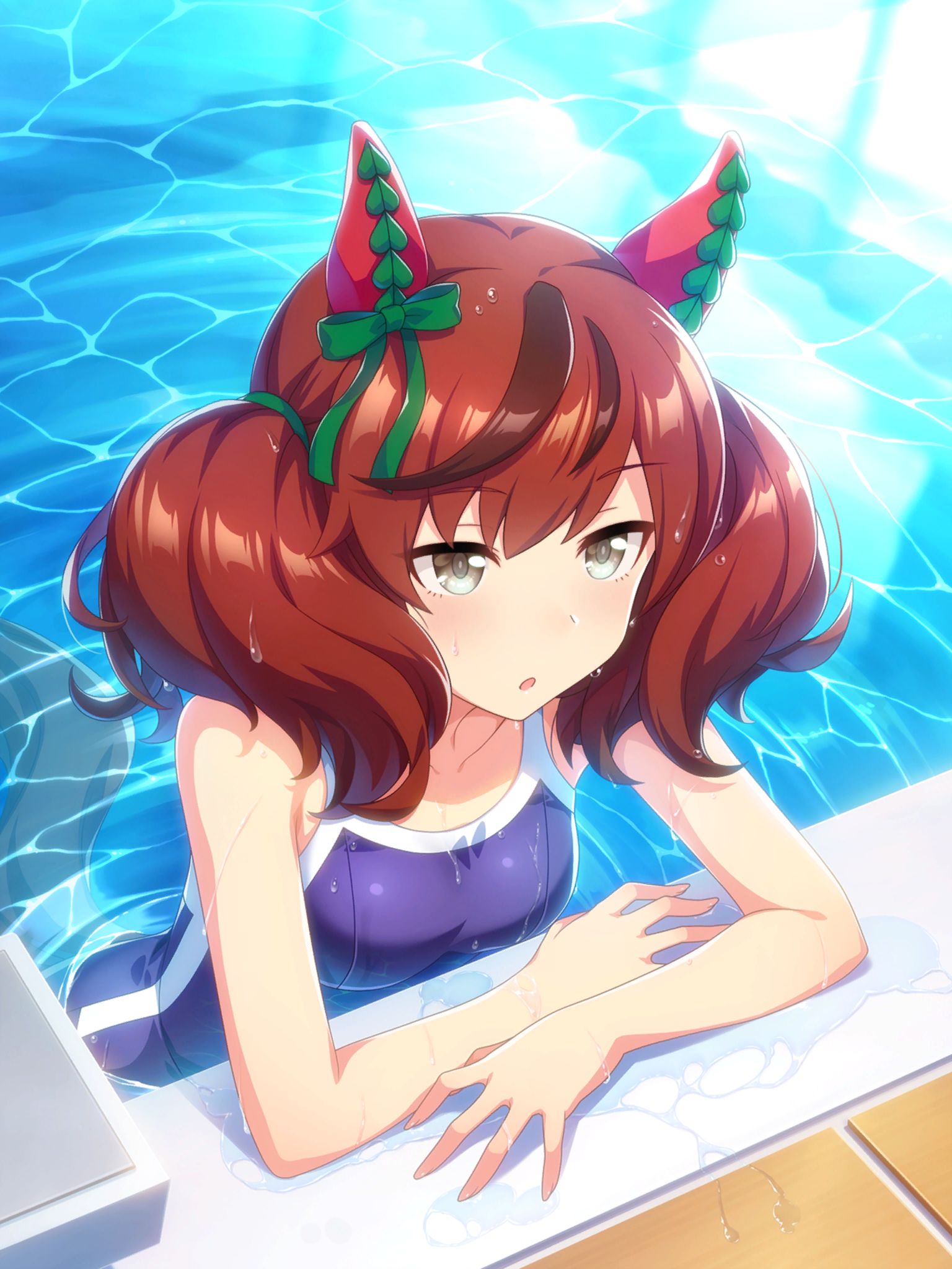 ィーダービー『ナイスネイチャ』(赛马娘 pretty derby『优秀素质』)
