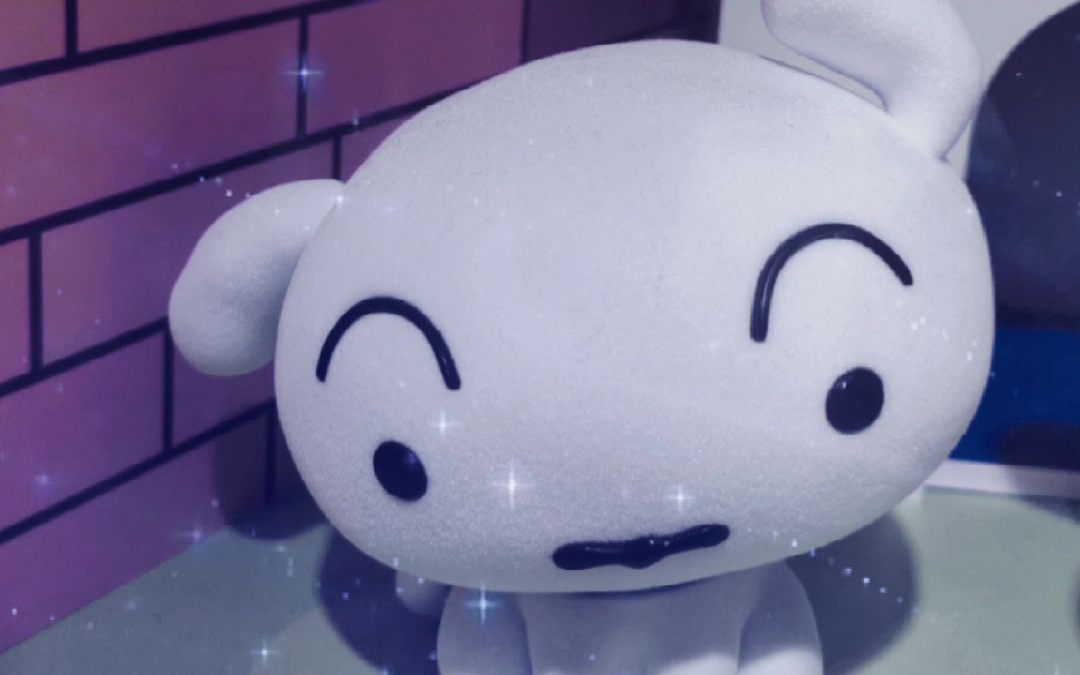 小白也是我的家人!它叫野原小白!