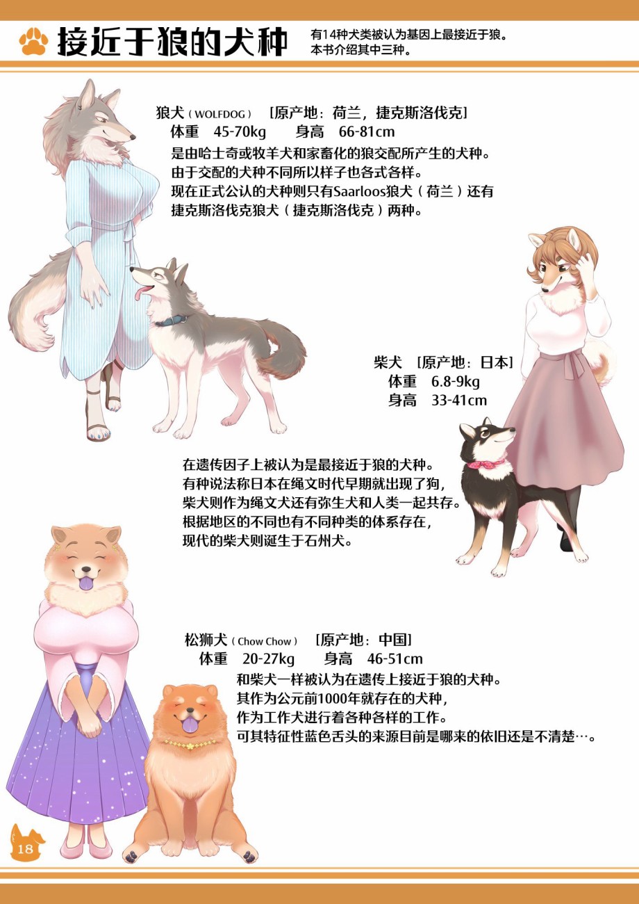 漫画 短篇 雌性兽人 犬种图鉴 Acfun弹幕视频网 认真你就输啦 W ノ つロ
