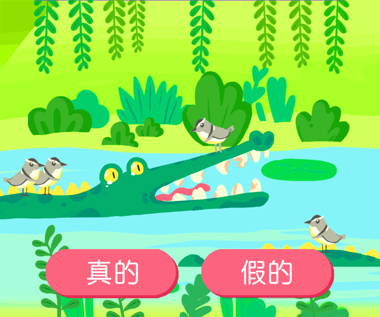 鳄鱼和牙签鸟根本就不是搭档原来那些寓言故事都是编的下