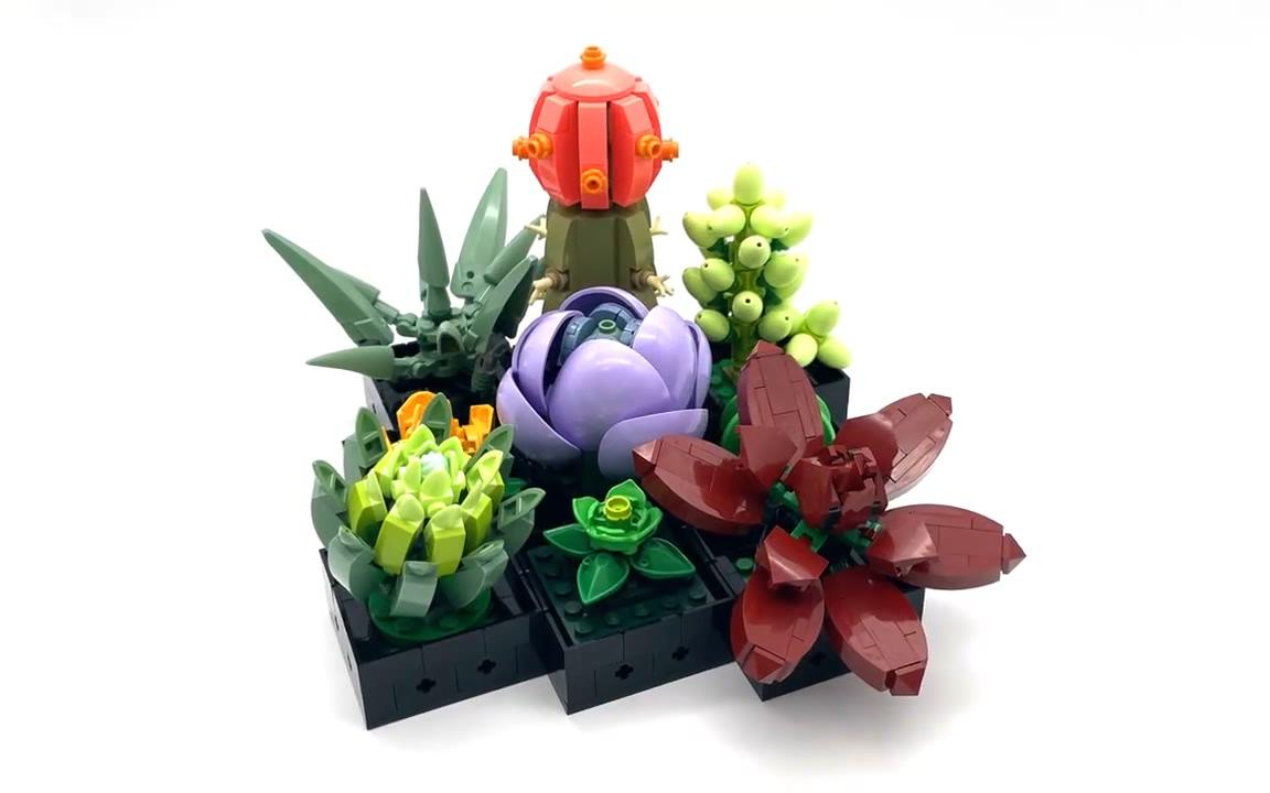 乐高 创意百变高手系列 10309 多肉植物