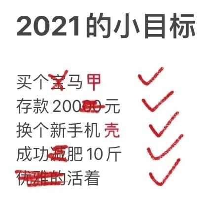 2022年个人目标搞笑图图片