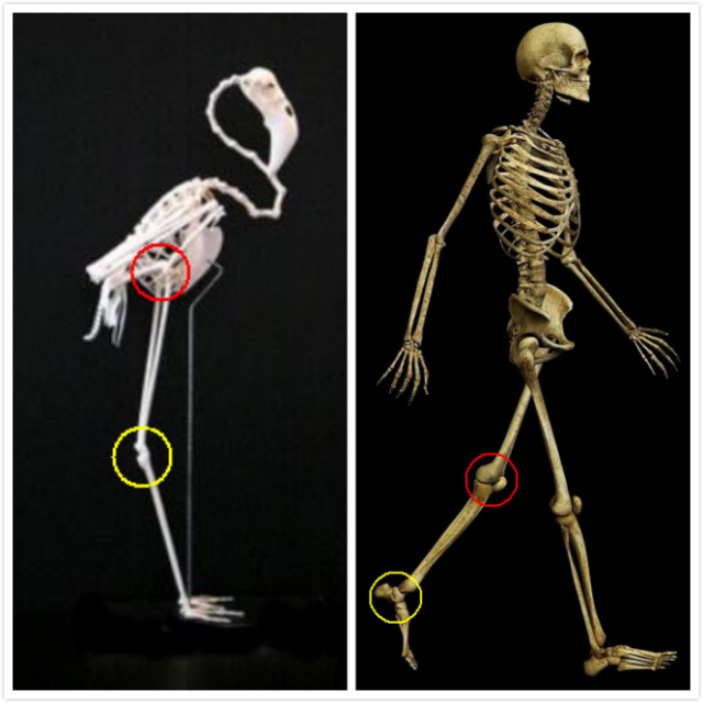 点击以浏览图像