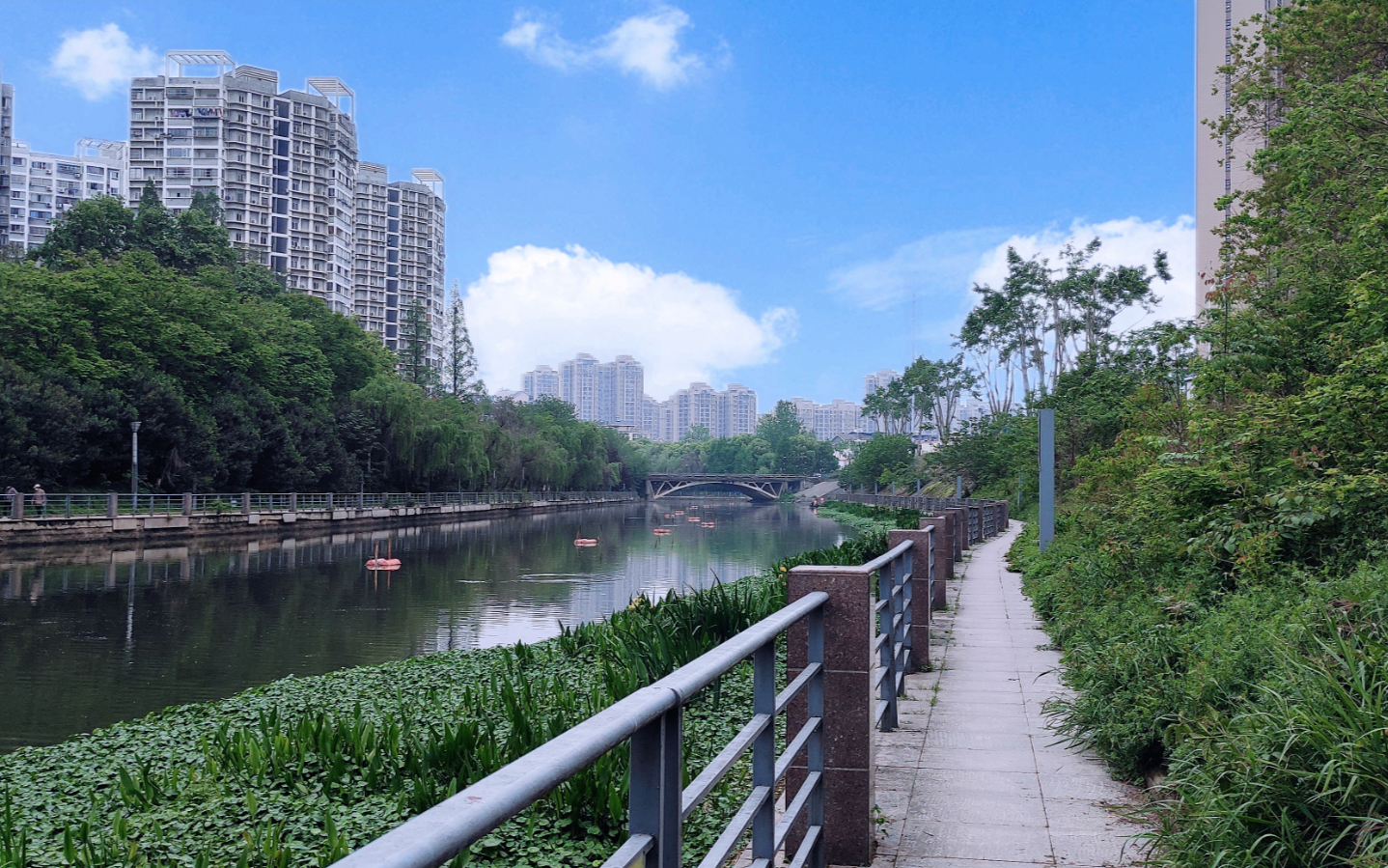 巡司河畔风情美景呈现,亲水长廊独享,水清岸绿生态运动两相宜