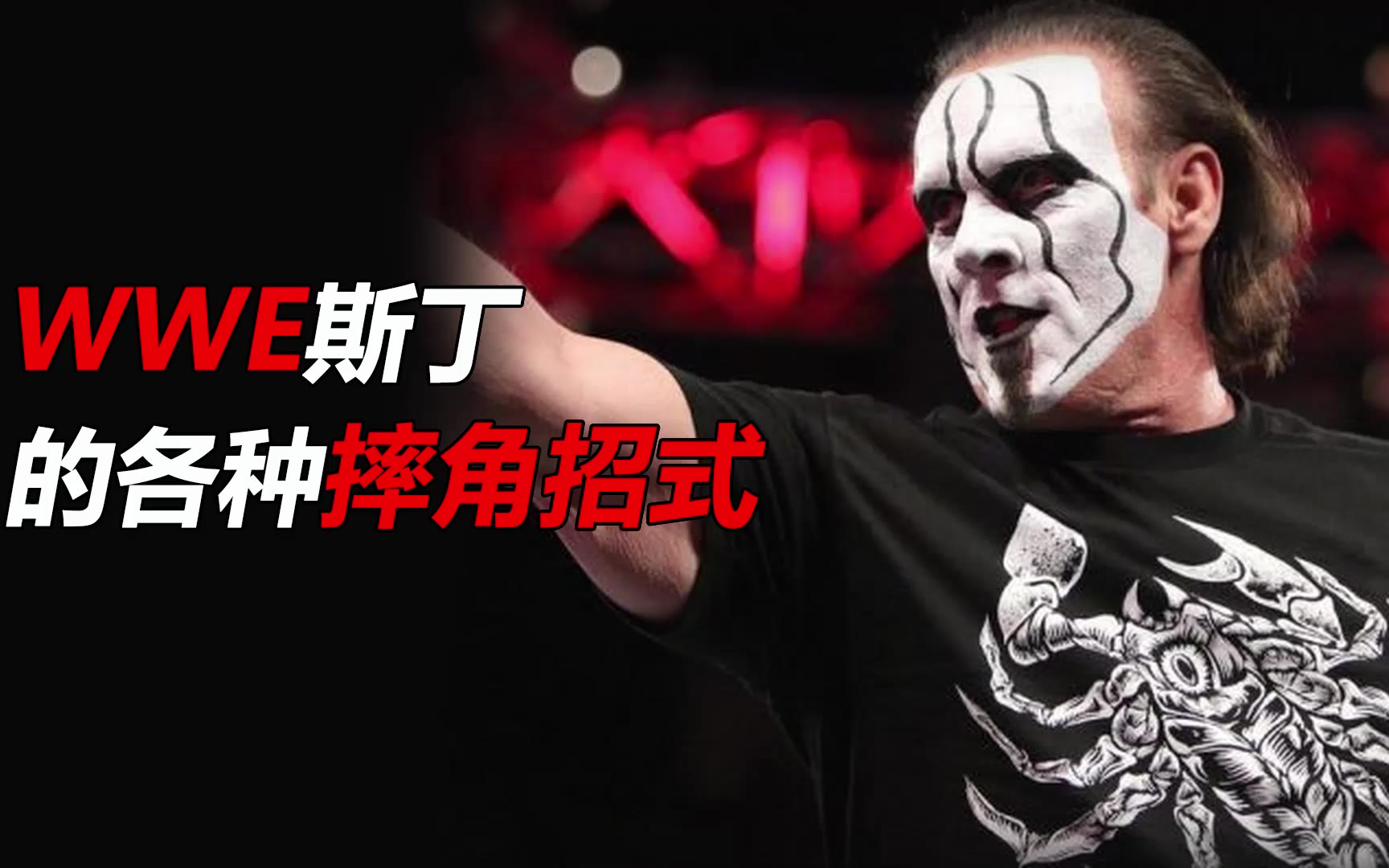 wwe招式大全图解图片