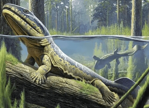 古生物特辑(两栖动物篇)