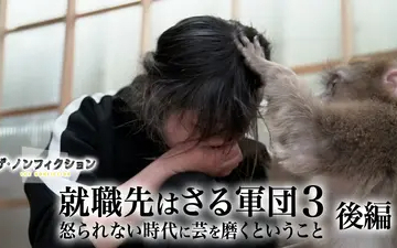 260726 纪录片